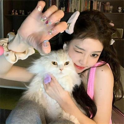 神台猫粤语